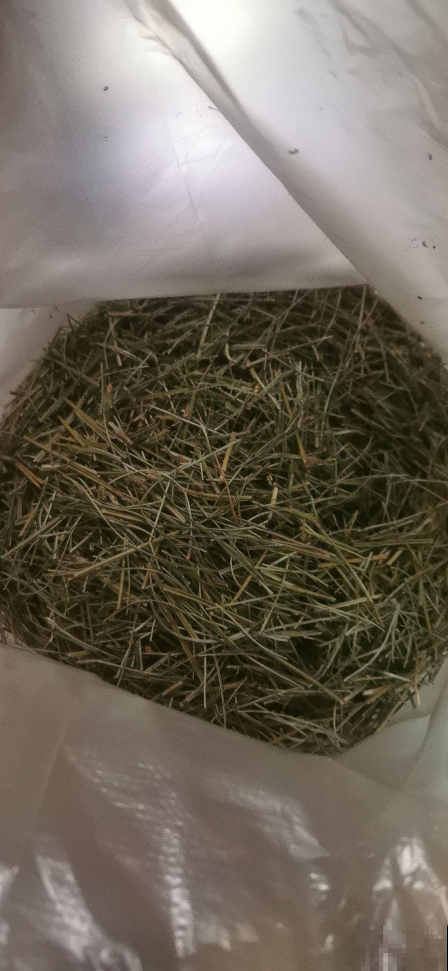 别只会用营养土，4种东西加土里，营养和透气性超级加倍