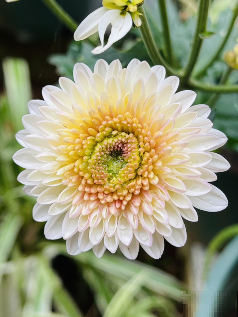 10个人生大道理，50岁后感同身受，你同意吗