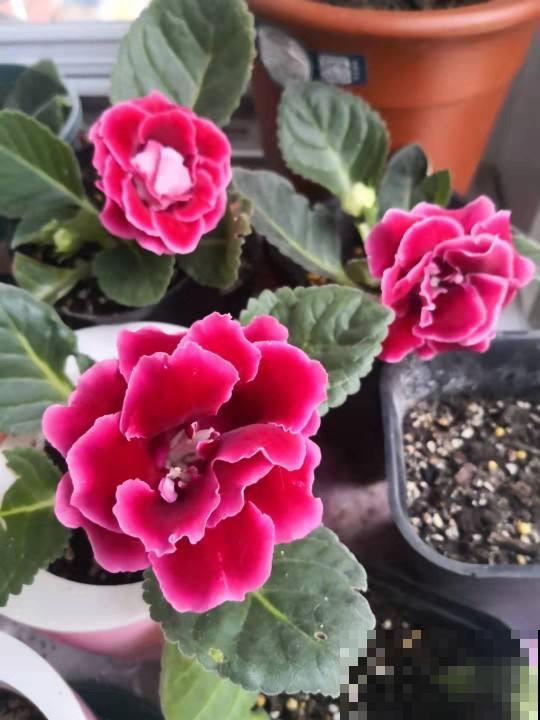 45岁之后，8个人生经验，越早知道越受益