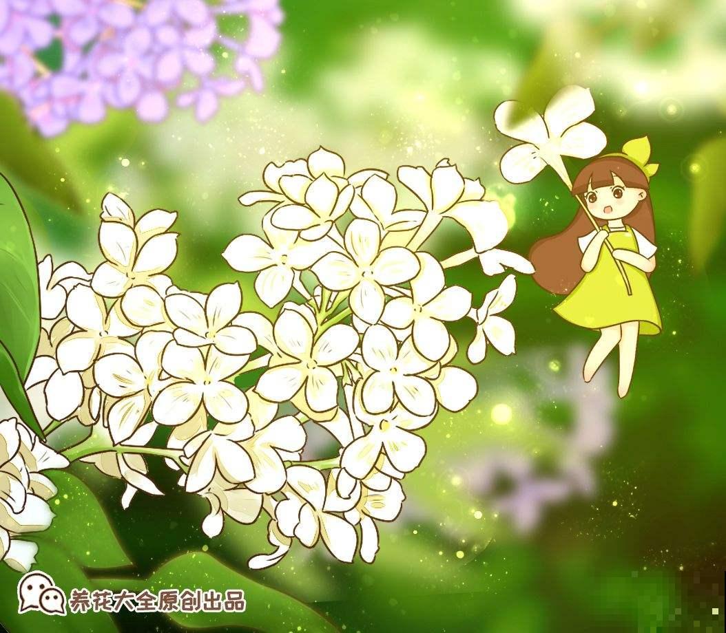 10种花，零下10℃也能过冬，长势一点不输南方