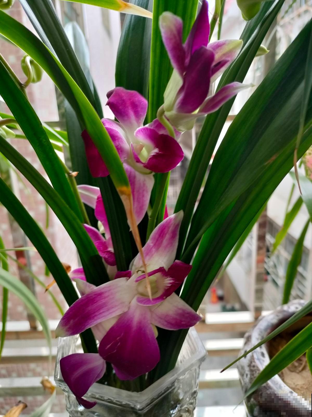 爱养花的女人，一般都有这5个优点，你中了几条？