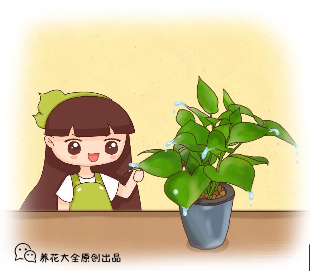 养花浇水十年功，牢记2个小妙招，轻松搞定浇水问题