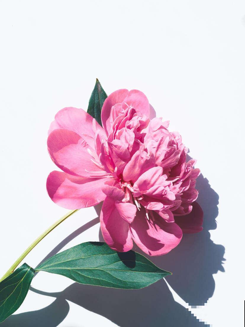 这10个道理,过了40岁之后才懂,你懂了几个? 这10个道理,过了40岁之后才懂,你懂了几个?