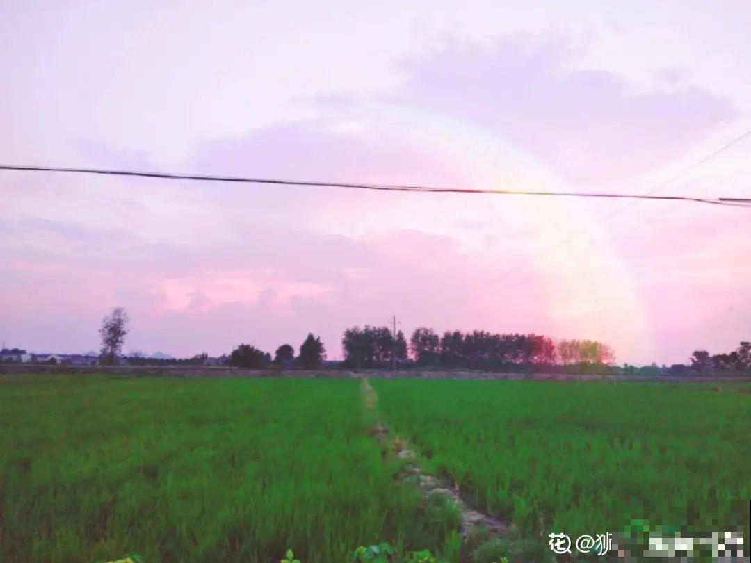 我有一个梦想，面朝大海，春暖花开