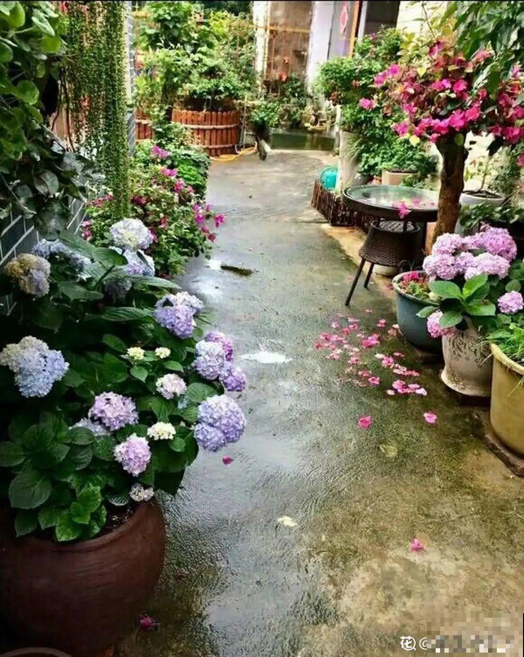 我有一个梦想，面朝大海，春暖花开