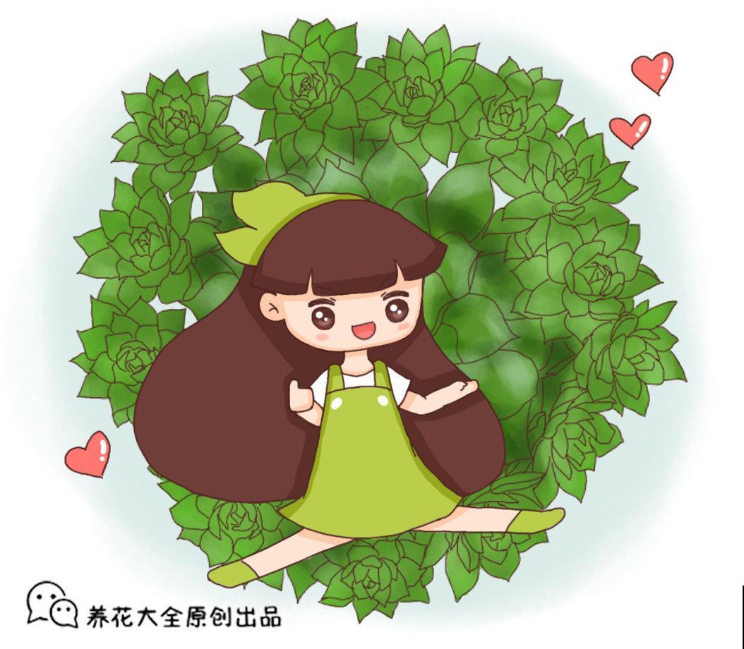 买花也有“潜规则”，教你正确买花，新手小白不容易被骗