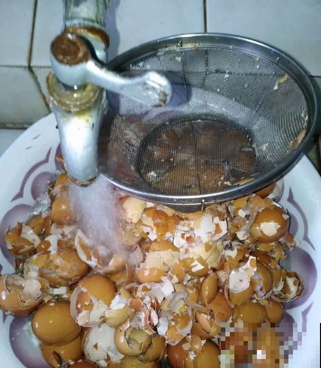 家里的“垃圾”留下，拿来养花效果好，颜值超高