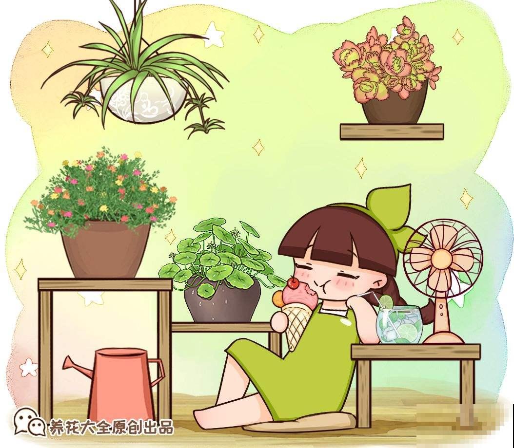 4种花是“天然净化器”，秋冬季节养一盆，净化空气效果好