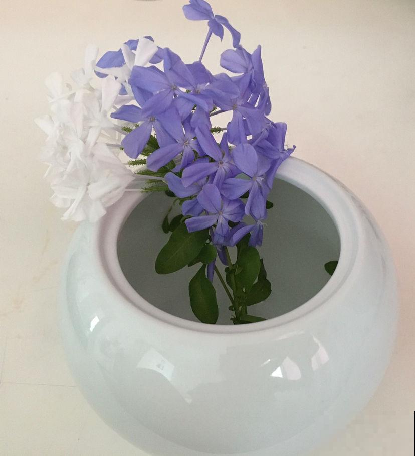 只因1个小动作,把花都“害”死了,赶紧住手 只因1个小动作,把花都“害”死了,赶紧住手