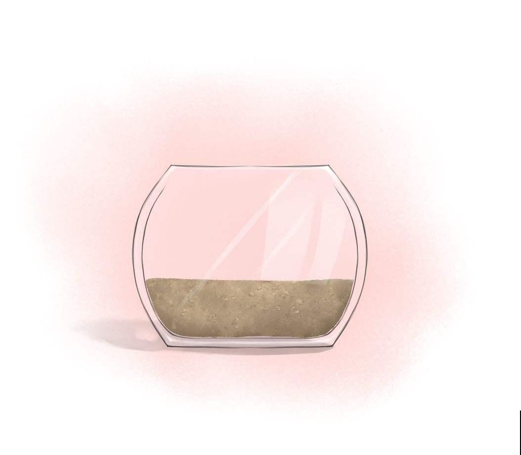 养花总是养不活，6个原因不能忽略，赶紧补救植物才越长越好