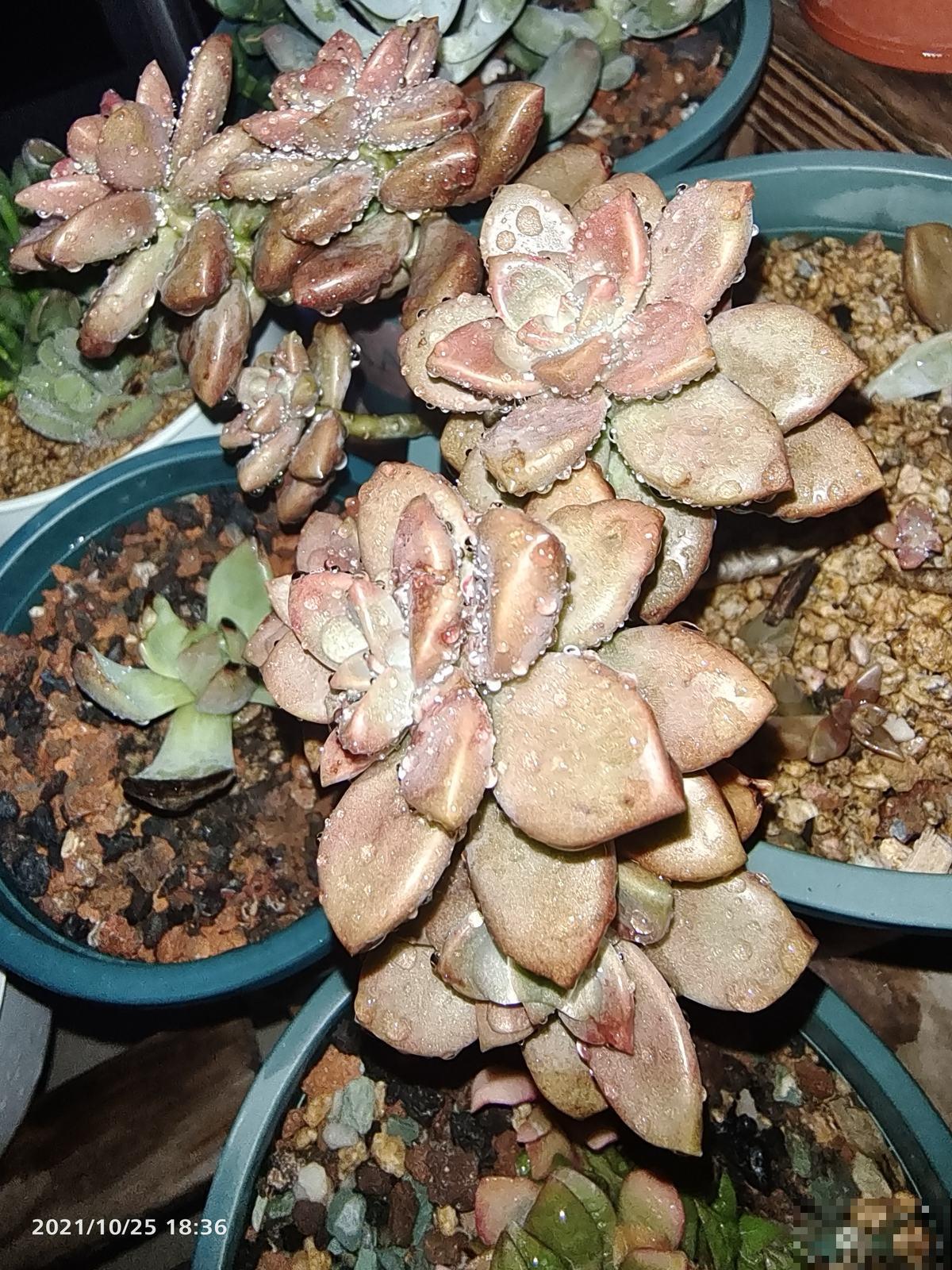 朋友圈转疯了,人到中年就怕5件事,早点看透少吃亏 朋友圈转疯了,人到中年就怕5件事,早点看透少吃亏