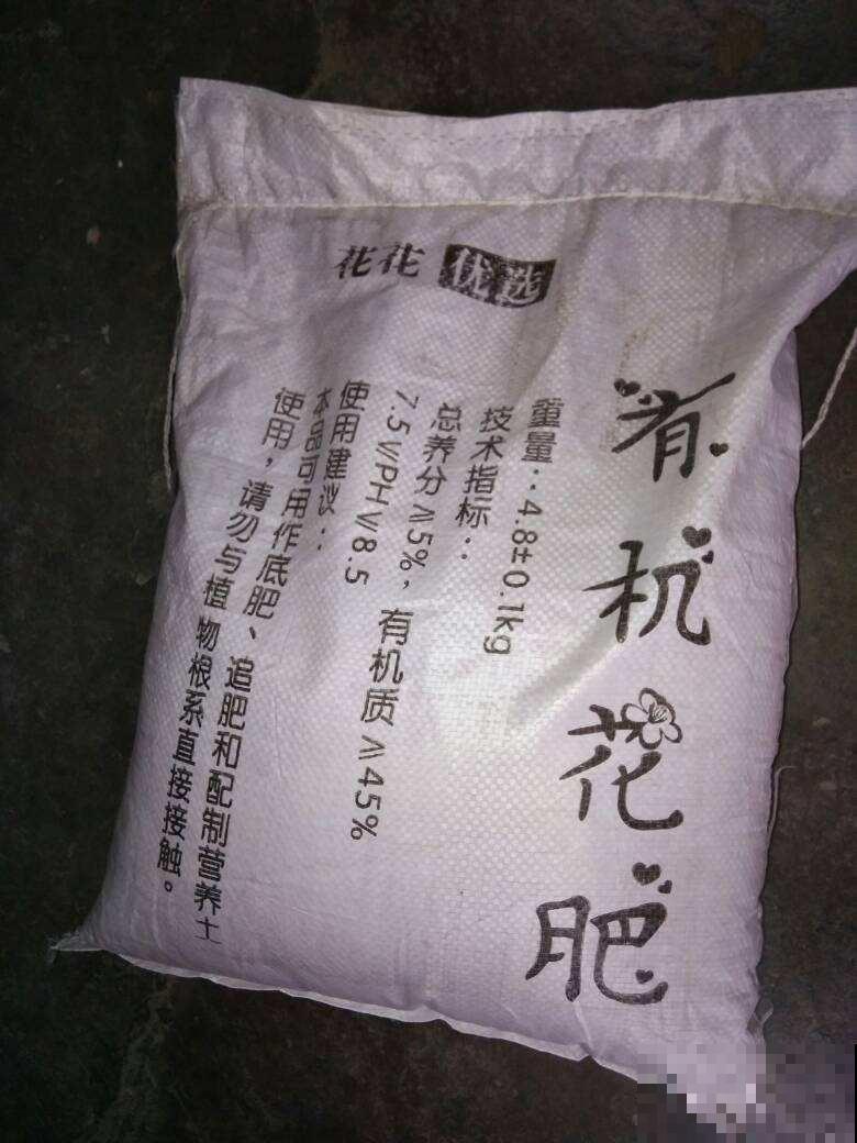 别只会用营养土，4种东西加土里，营养和透气性超级加倍