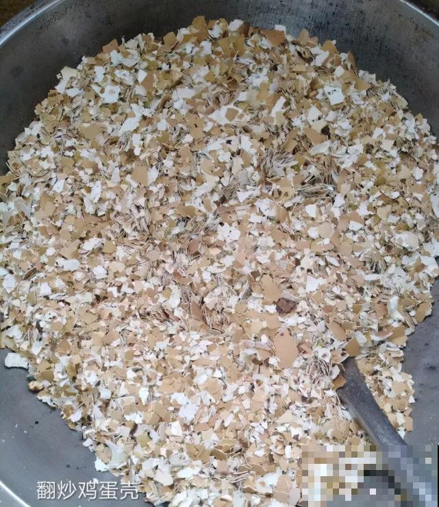 家里的“垃圾”留下，拿来养花效果好，颜值超高