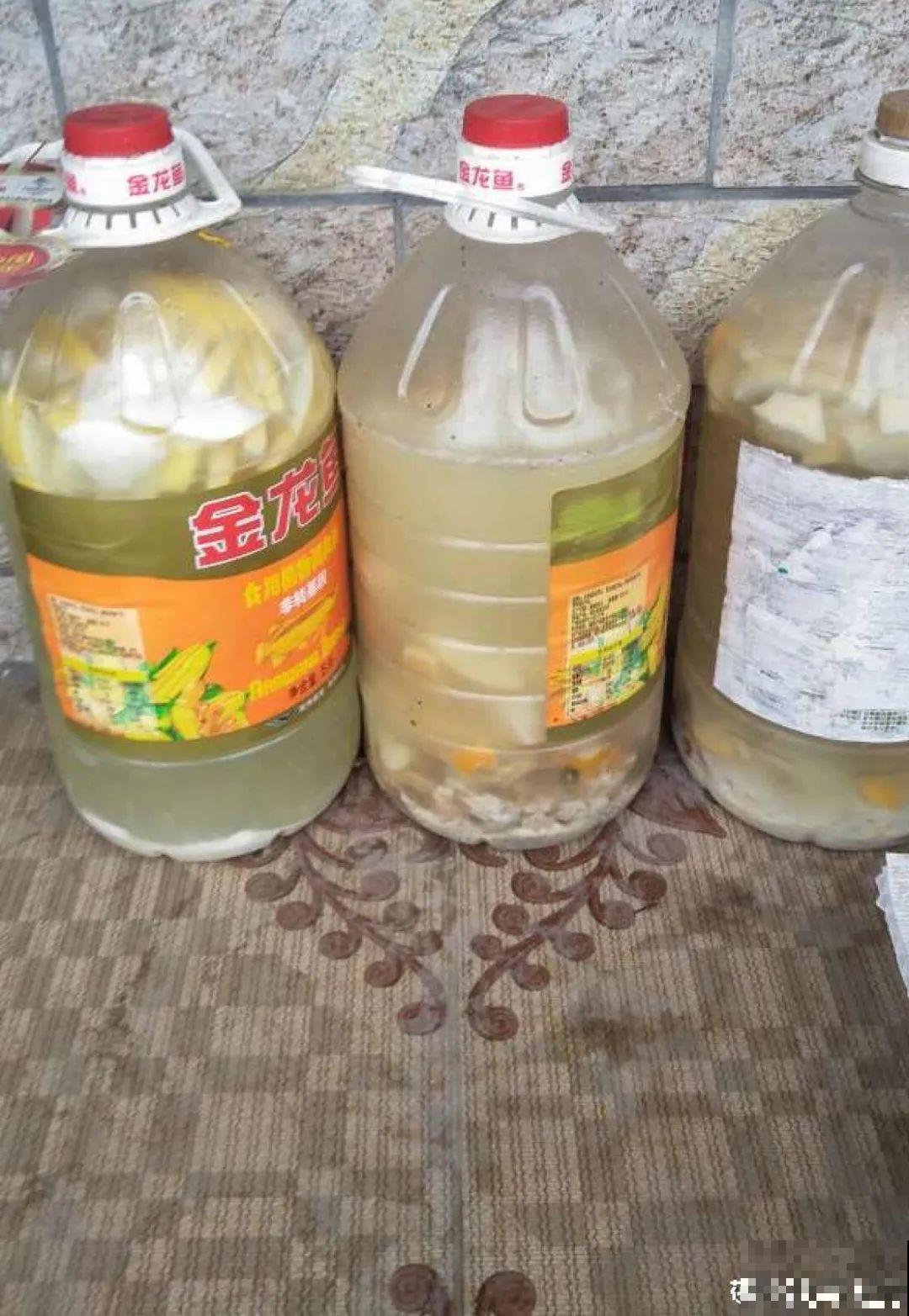 10种“垃圾”不要丢，拿来养花效果好，还能省下一笔钱