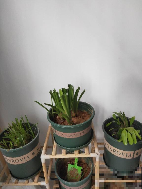 土壤板结要注意,赶紧学会三招,很快变松软 土壤板结要注意,赶紧学会三招,很快变松软