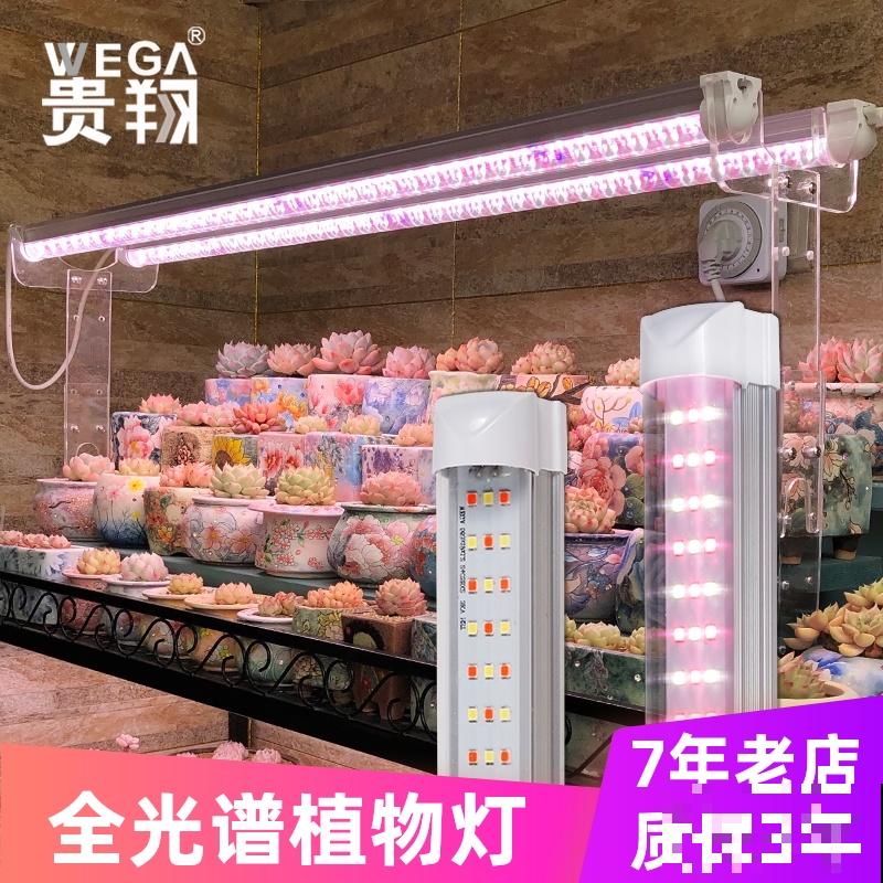 老小区都想装新电梯，我却迟迟不同意，太影响养花