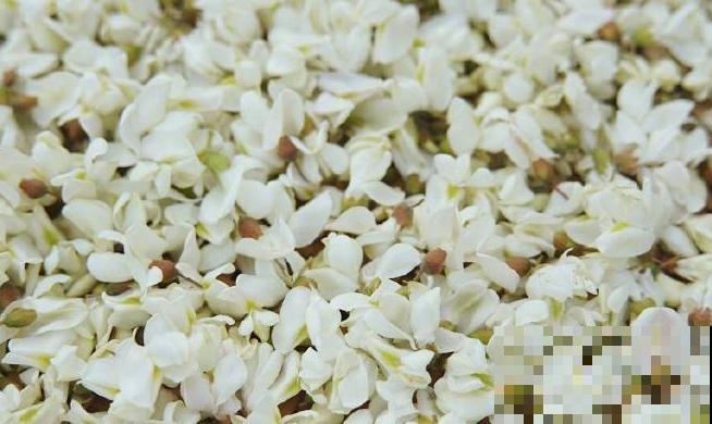 家里养的4种花,掐掉叶子还能做菜,养人养身心 家里养的4种花,掐掉叶子还能做菜,养人养身心