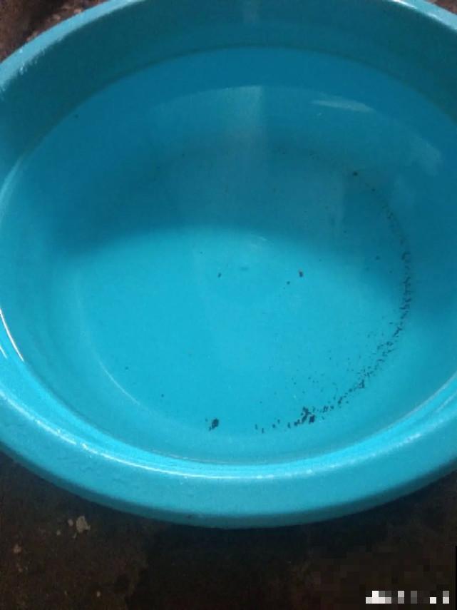 秋天给花补点“猛肥”,嫩芽一茬接一茬,花苞呼呼冒 秋天给花补点“猛肥”,嫩芽一茬接一茬,花苞呼呼冒