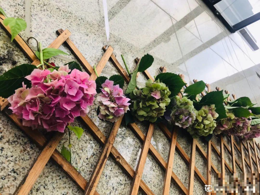 10种花,冬天要休眠,赶紧修剪防冻,才能安全越 10种花,冬天要休眠,赶紧修剪防冻,才能安全越