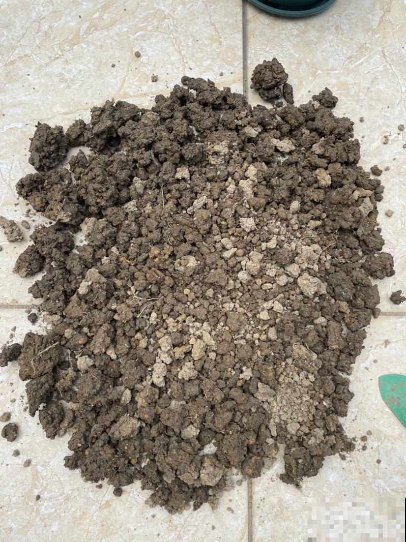 养花换下的旧土别扔，3招让土肥的流油，省下一笔养花钱