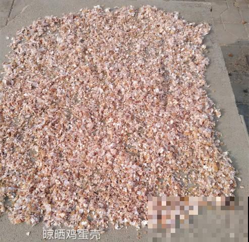 家里的“垃圾”留下，拿来养花效果好，颜值超高