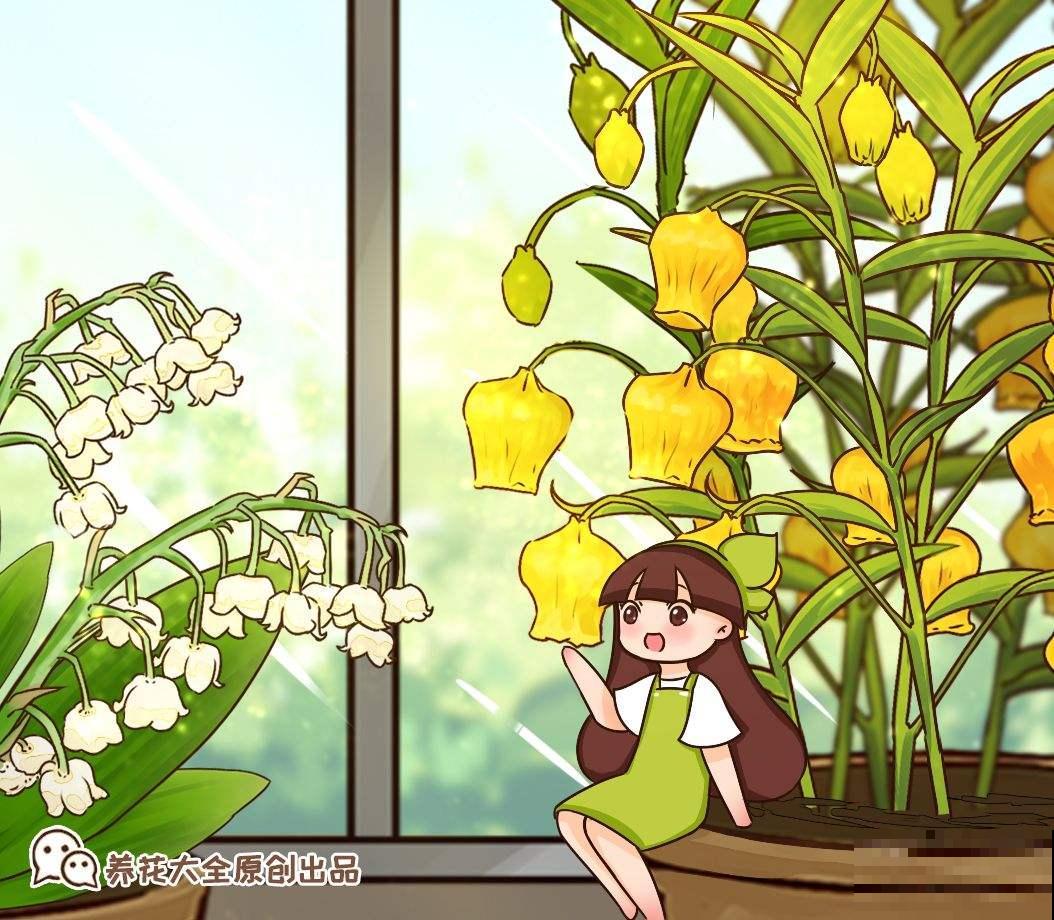 花开前丑的像草，开花后美不胜收，这5种花你见过吗