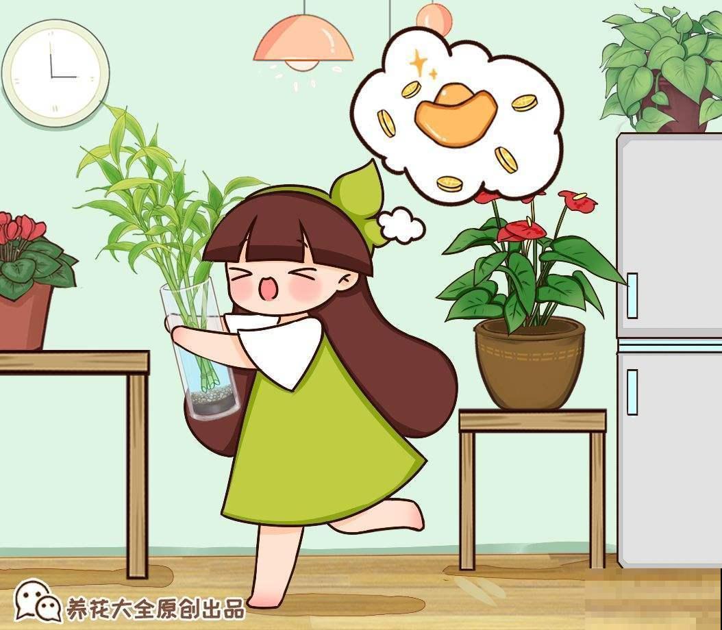 5种有“格调”的植物，养在家里有气质，一看就是有品位的人在养