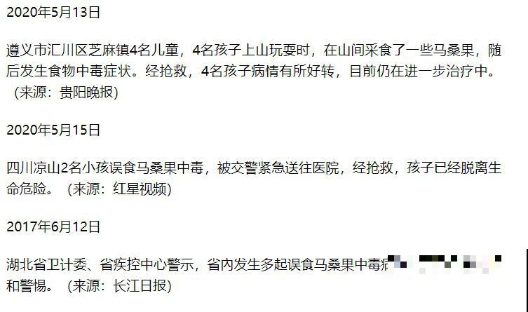 路上看见银杏果,不要捡,小心有毒! 路上看见银杏果,不要捡,小心有毒!