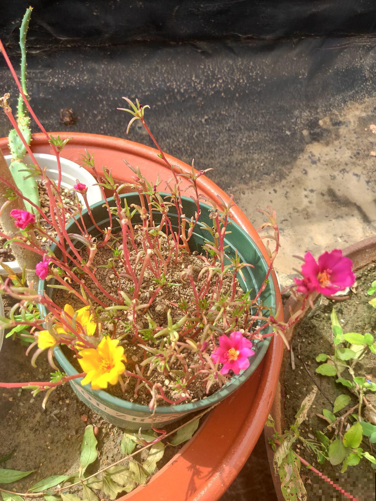 老师布置了1份作业，导致我和孩子冷战三天，到底是谁错了