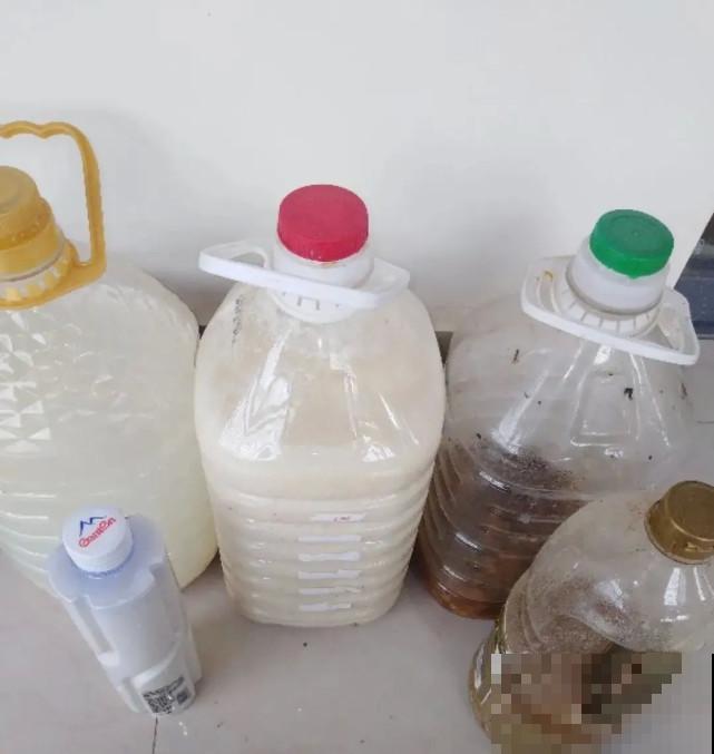 秋天给花补点“猛肥”,嫩芽一茬接一茬,花苞呼呼冒 秋天给花补点“猛肥”,嫩芽一茬接一茬,花苞呼呼冒