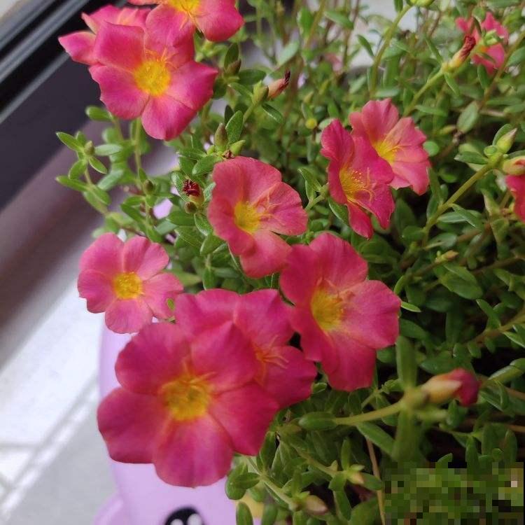 老师布置了1份作业，导致我和孩子冷战三天，到底是谁错了