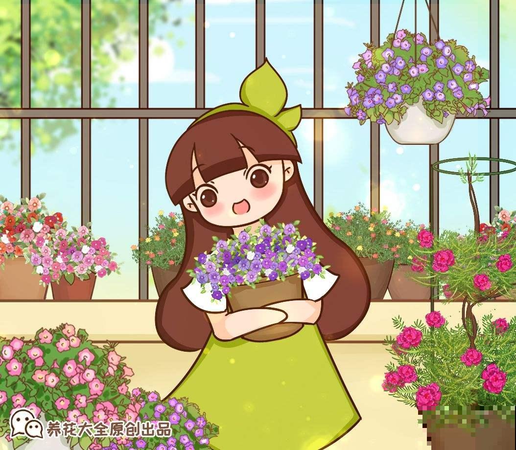 家里养一盆“爆花小能手”，掐一掐开花多，秋天呼呼爆盆