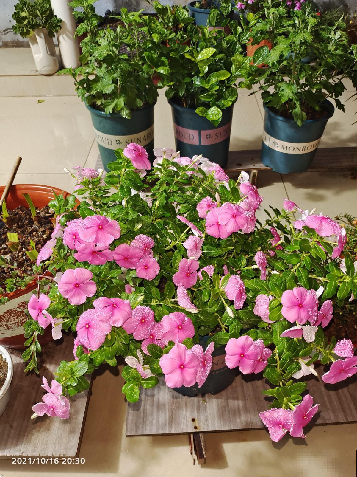 10个人生大道理，50岁后感同身受，你同意吗