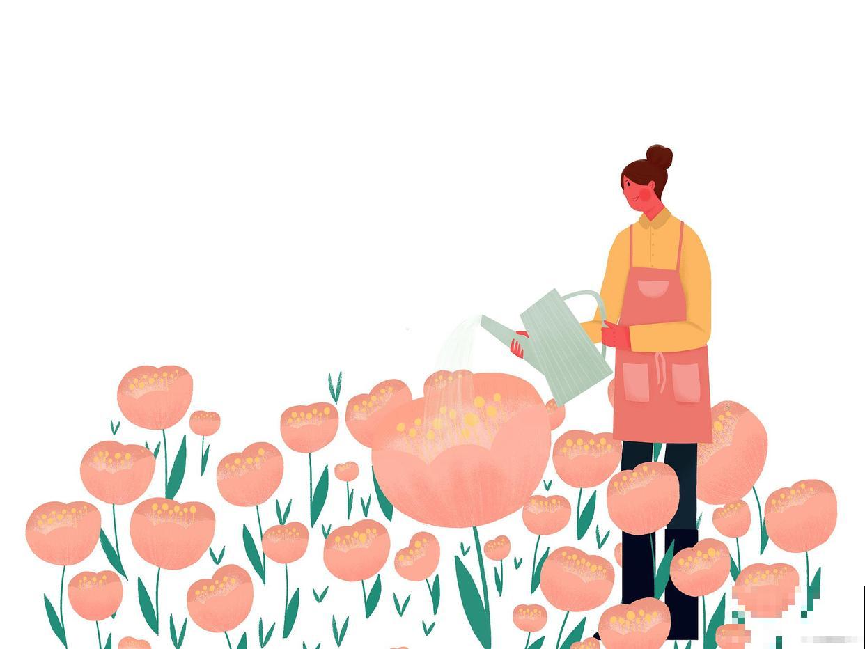 扶桑花的养殖和注意事项