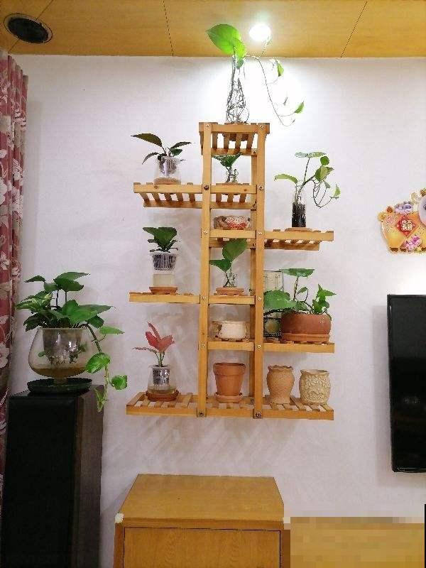 因为养花跟婆婆大吵一架，婆婆说家里养花“不吉利”，真是荒唐