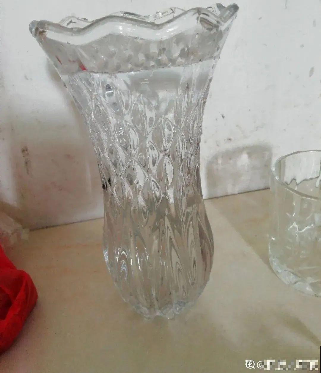 1种花叫“雪柳”，剪几根枝插水里，7天长叶，一个月开花，绝美