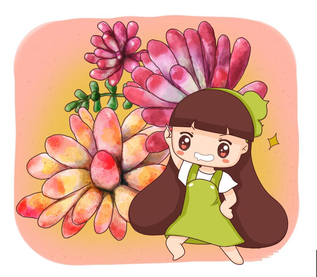 红彤彤的多肉,在阳台养都能随便出状态,主要抗冷又皮实 红彤彤的多肉,在阳台养都能随便出状态,主要抗冷又皮实