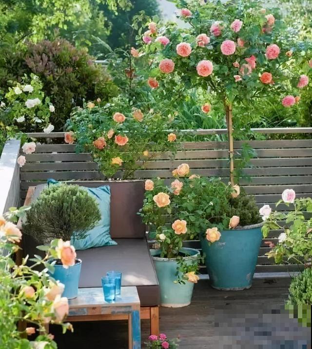 买个新房子种种花,到底选一楼小院,还是顶楼天台? 买个新房子种种花,到底选一楼小院,还是顶楼天台?