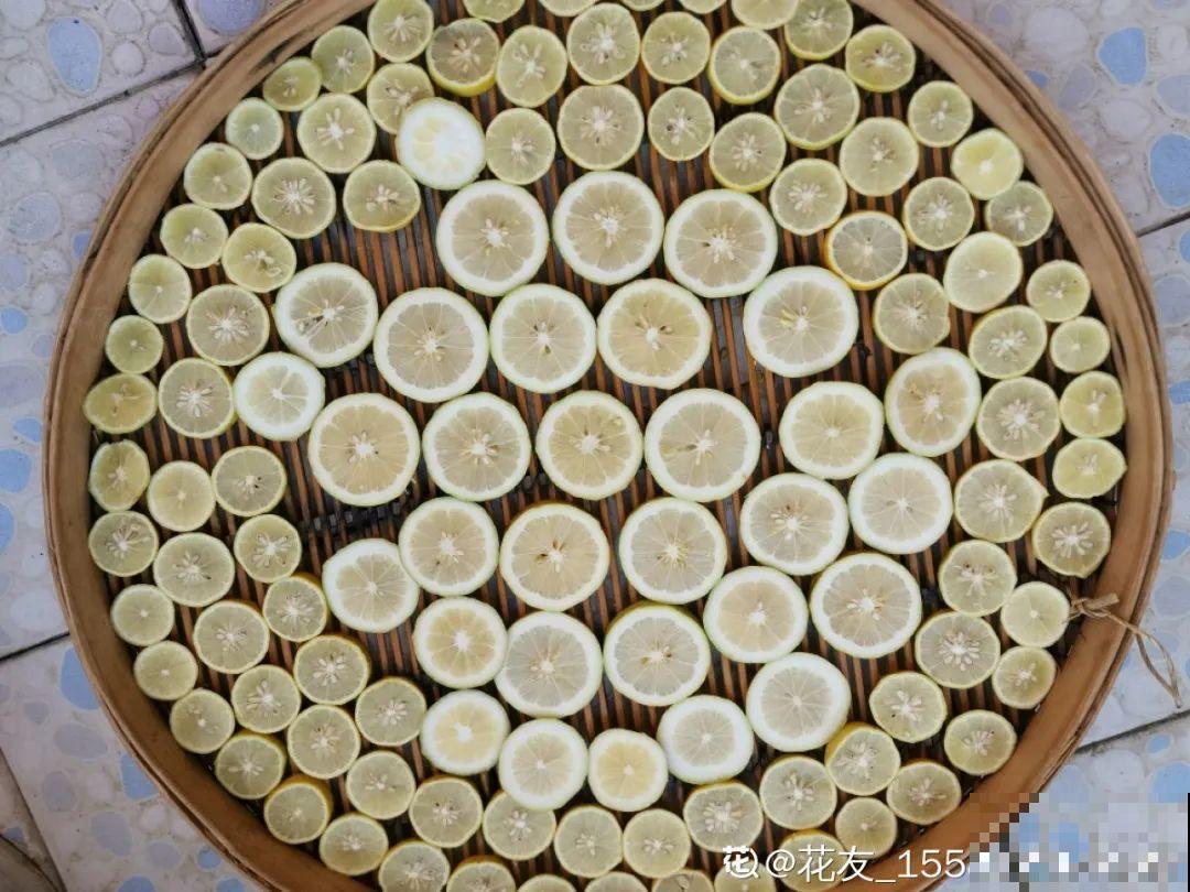 秋天在家养盆“香香花”，满屋子香味，还特耐寒