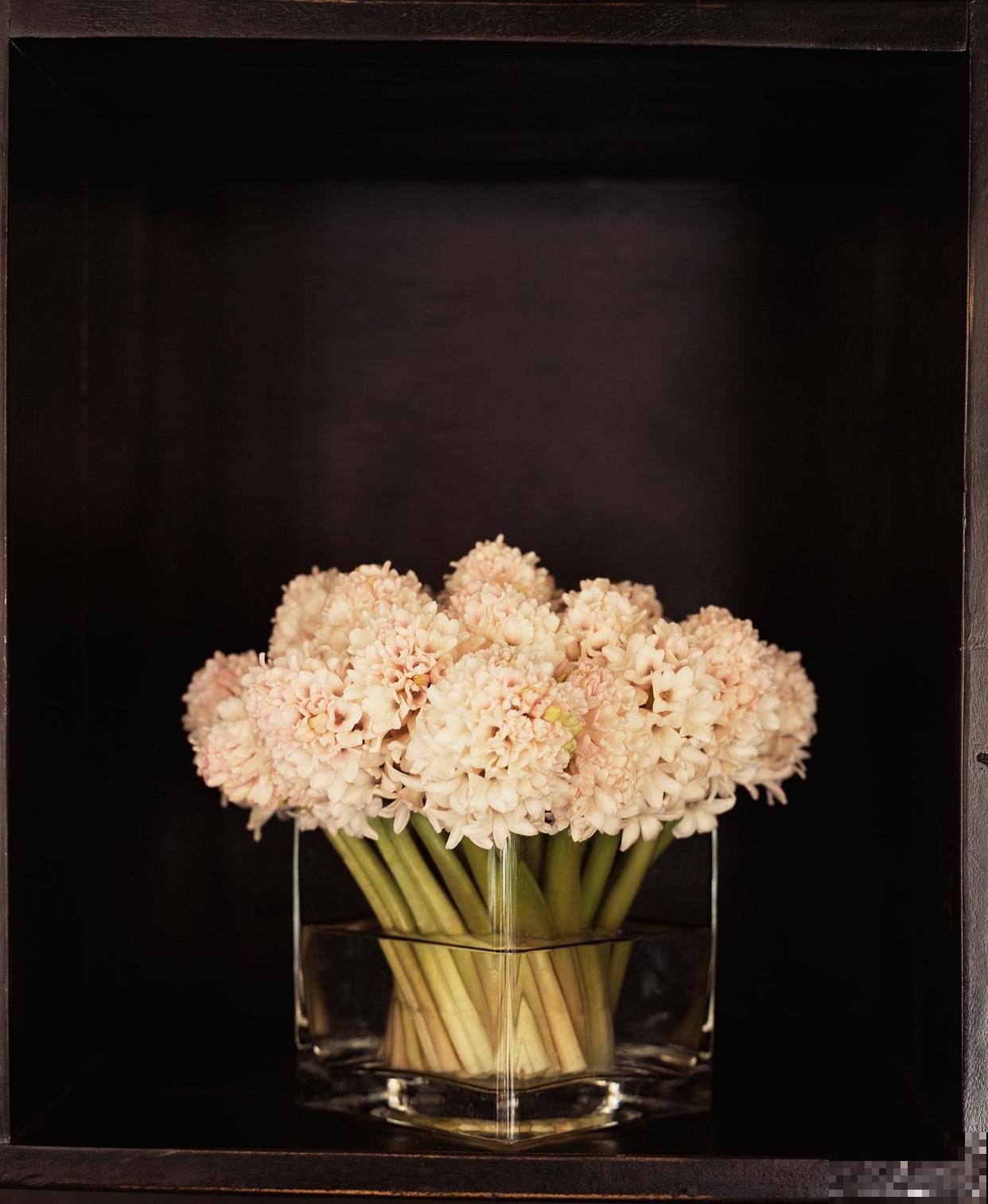 不怕冷的花，零下15度也能长得旺，冬天养正合适