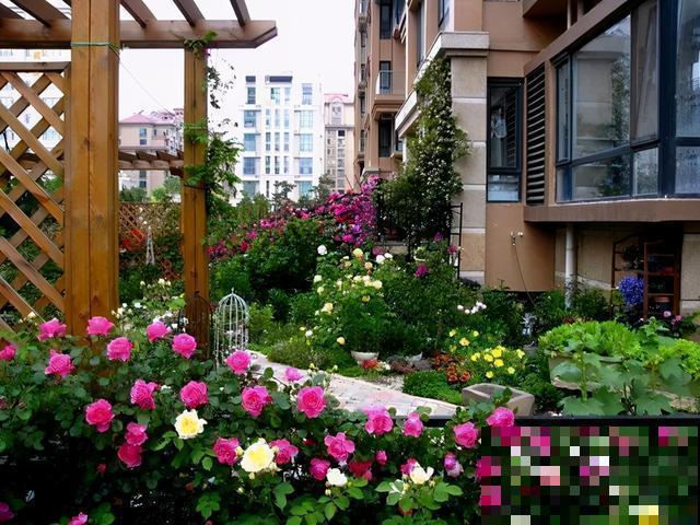 买个新房子种种花,到底选一楼小院,还是顶楼天台? 买个新房子种种花,到底选一楼小院,还是顶楼天台?