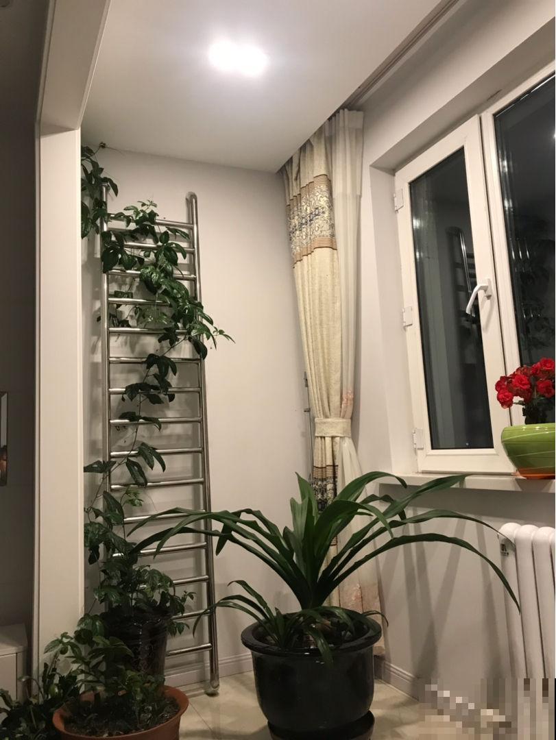 年底大扫除有妙招,省时省力分分钟搞定,自己也能干的完 年底大扫除有妙招,省时省力分分钟搞定,自己也能干的完