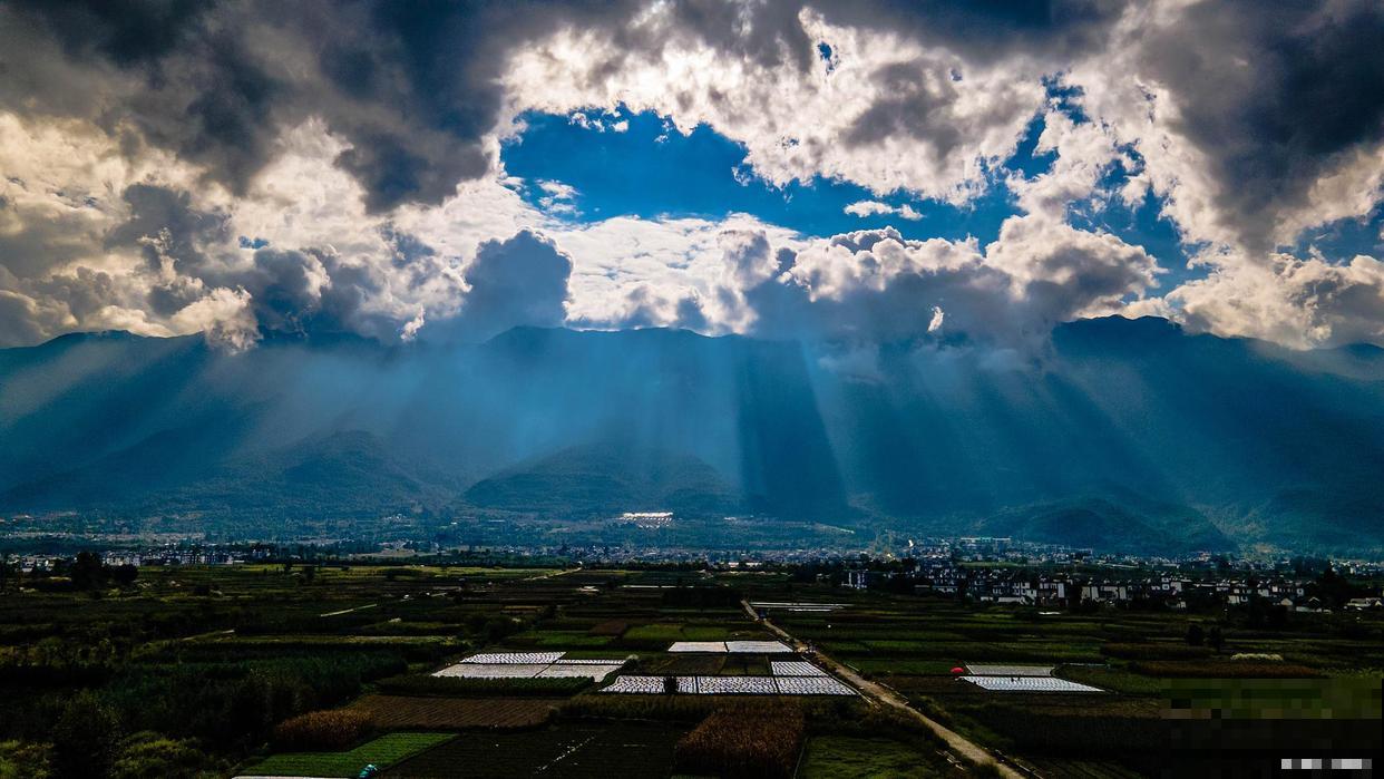 长寿花叶子变黄怎么回事 长寿花叶子变黄怎么回事