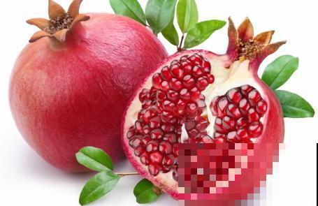 “四树进宅，镇宅旺财”，4种守家树，种一棵有“好兆头”