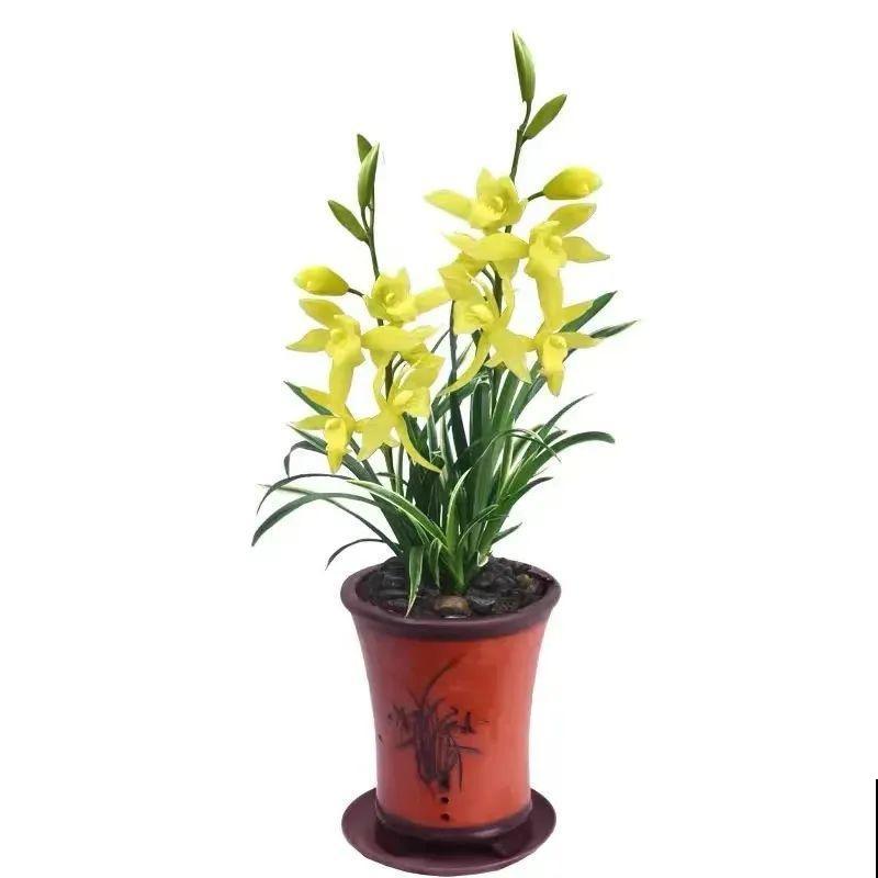 秋天在家养盆“香香花”，满屋子香味，还特耐寒