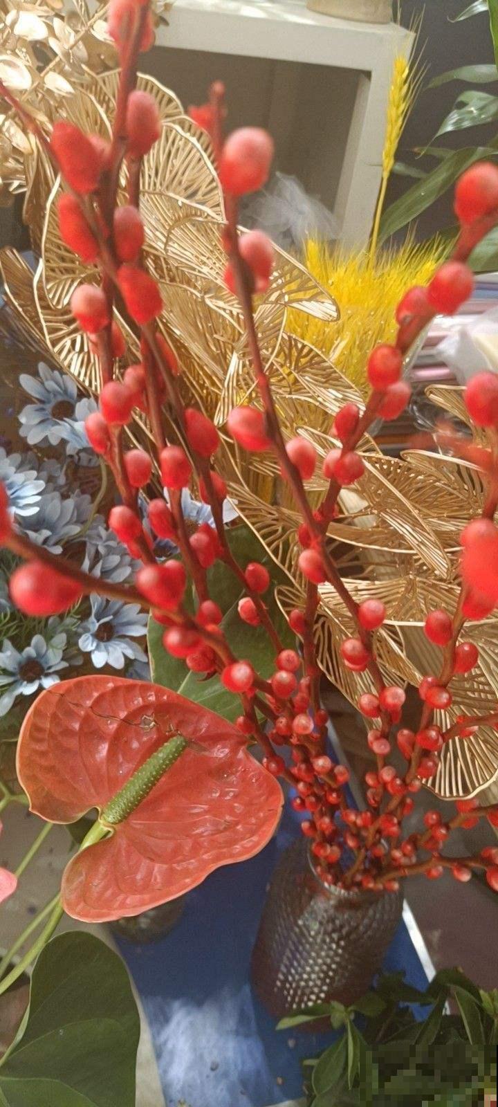 “银柳家里放，啥啥都兴旺”，一把枝条插瓶里，养好几年没问题