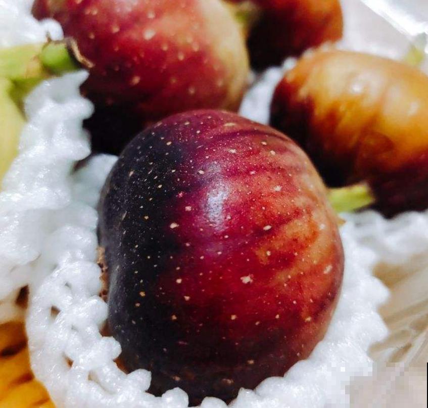 “家有果树，四季镇宅”，养盆果树，满枝结果有吉祥好兆头