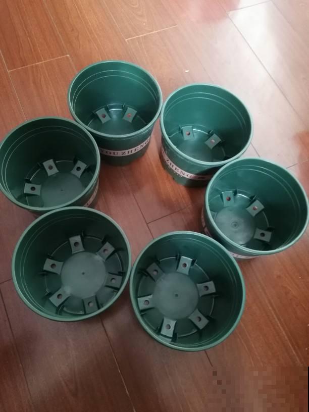 养花常见的“智商税”，这3种东西，买回家就是浪费钱