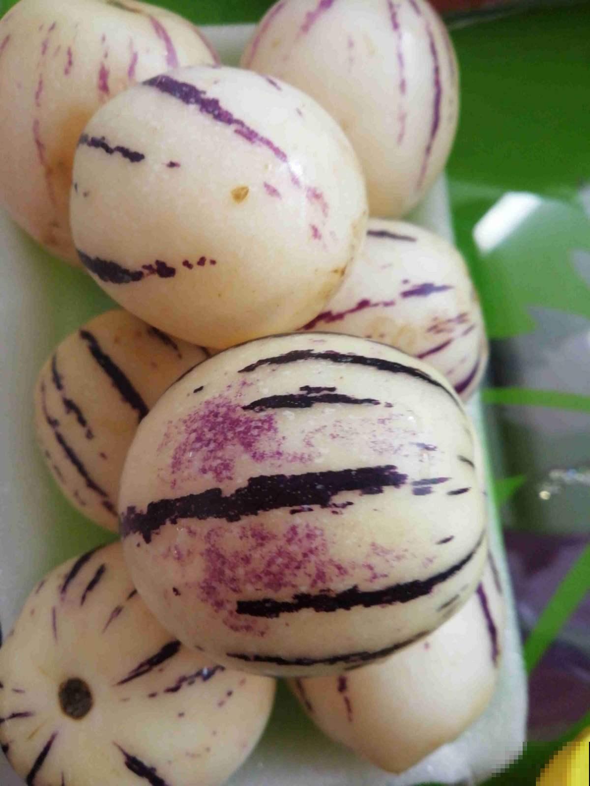 上古神话里的植物，比如王母娘娘的蟠桃树，还有一种花你也能养