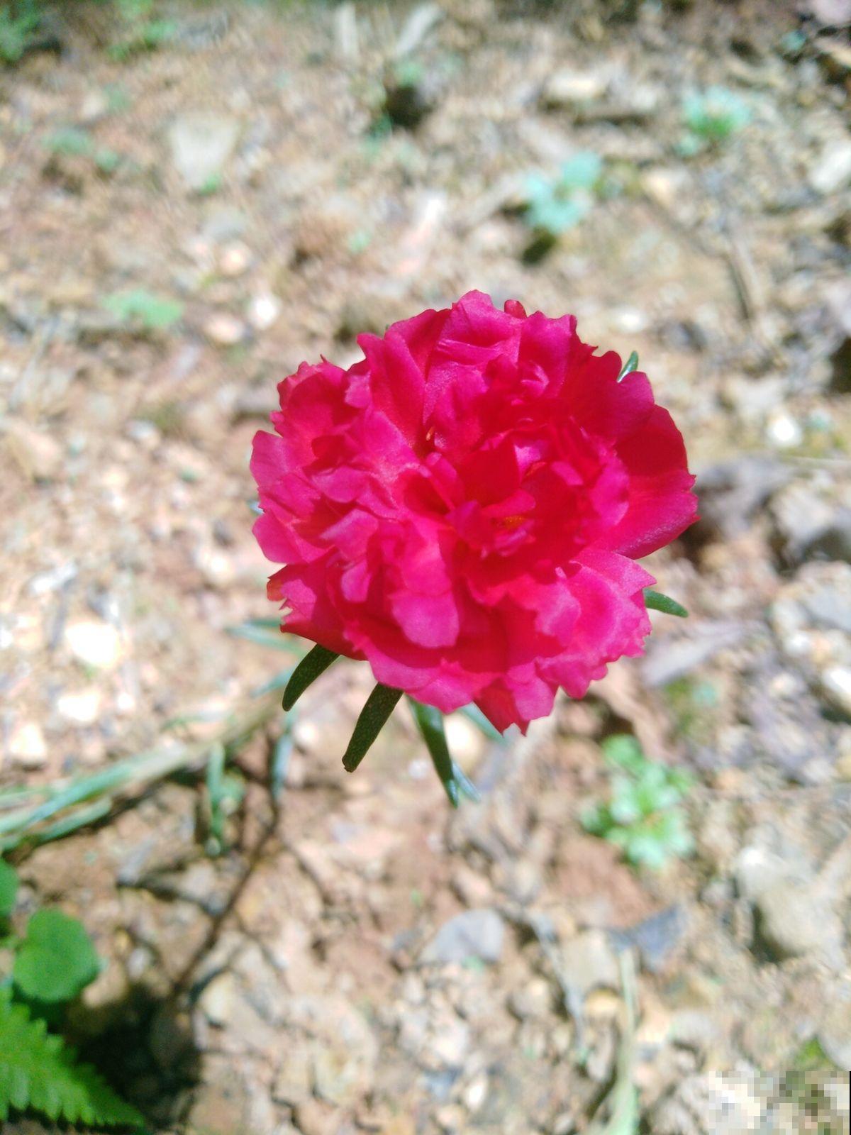 老师布置了1份作业，导致我和孩子冷战三天，到底是谁错了